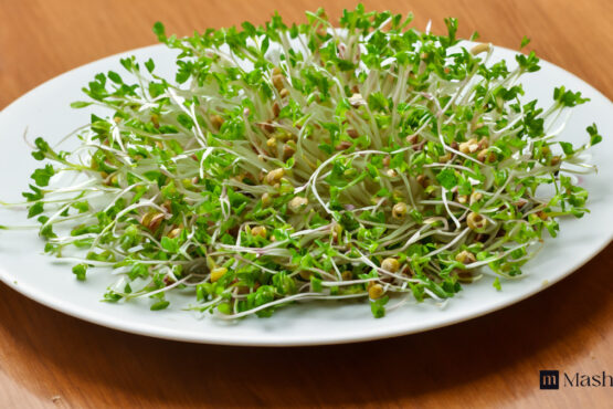 Feature image Sprouts