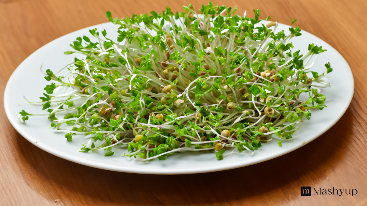 Benefit of Eating Sprouts on Daily Basis