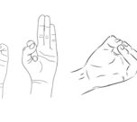 Types of Yoga Mudra