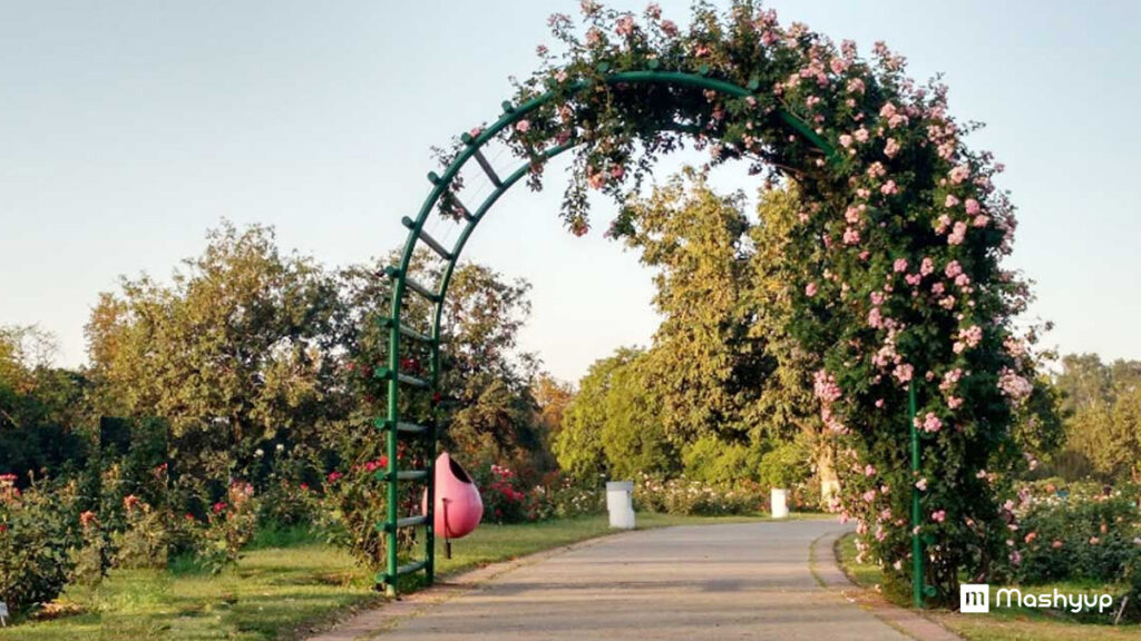 Chandigarh Rose Garden