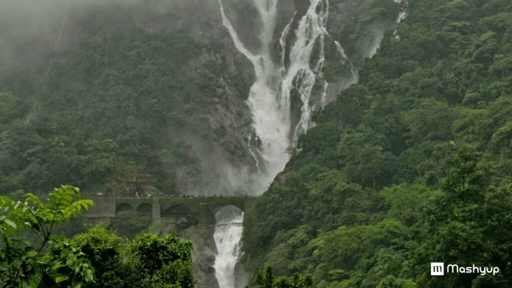 Dudhsagar Falls
