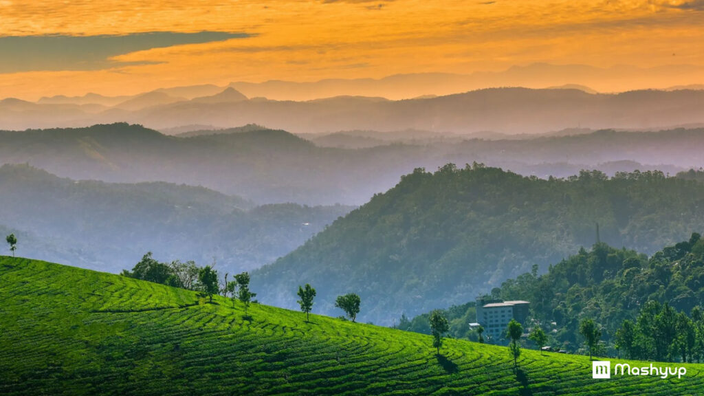 Munnar