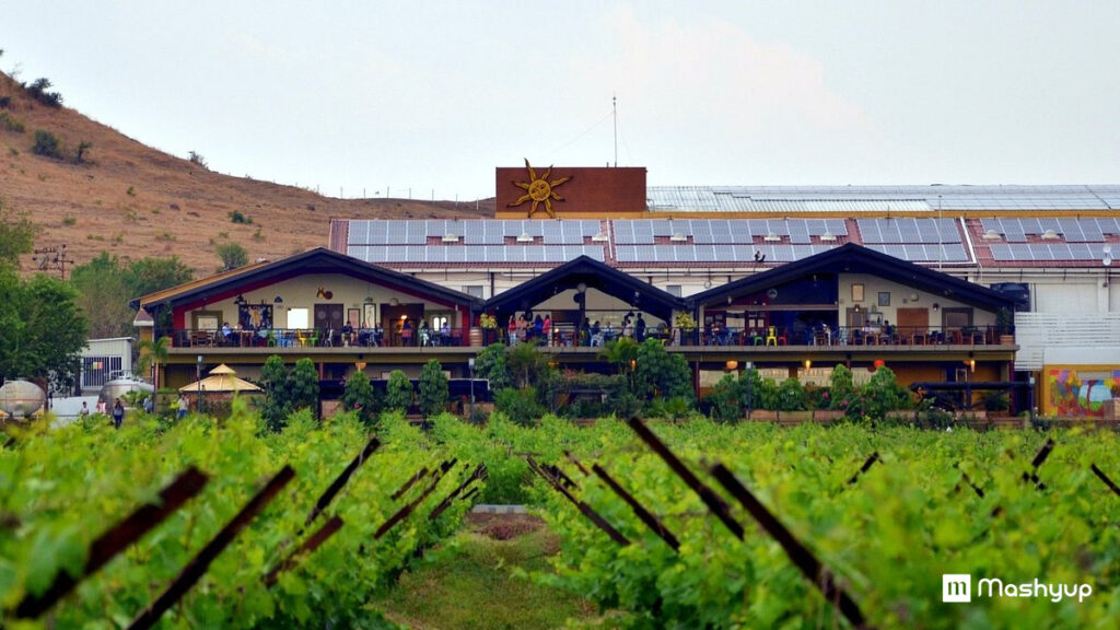 Sula-Vineyards