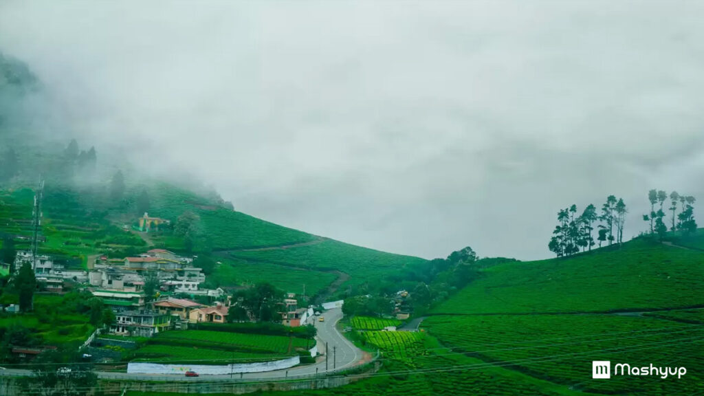 OOTY