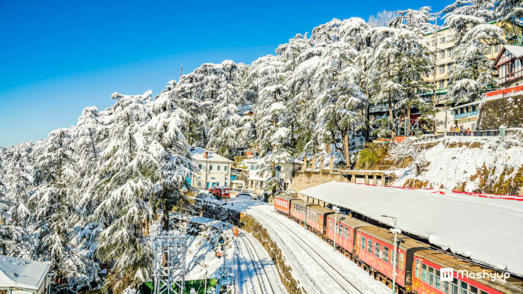 Shimla 