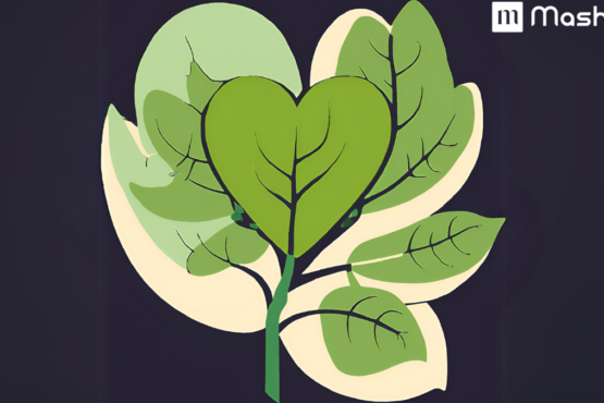 Giloy Uses and it's Benefits