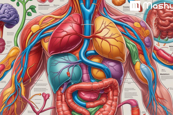 Metabolism