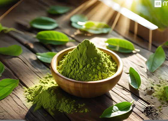 Moringa Powder Benefits