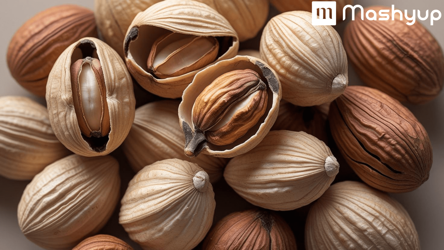 The Powerful Small Pine Nuts(Chilgoza) Health Benefits