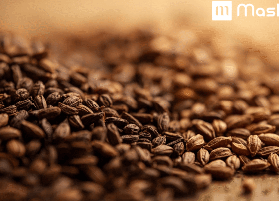 Cumin and Fennel Seeds